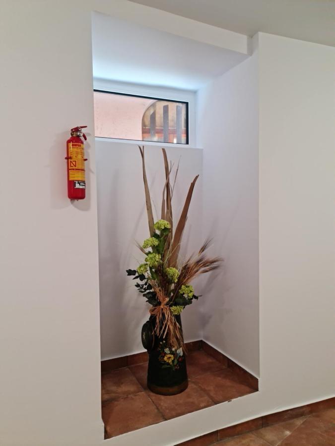 Ferienwohnung Ca La Maria La Seu d'Urgell Exterior foto