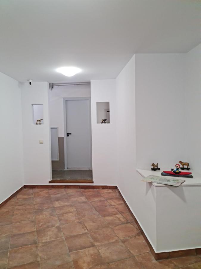Ferienwohnung Ca La Maria La Seu d'Urgell Exterior foto